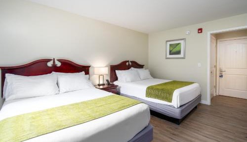 Budget Double Room