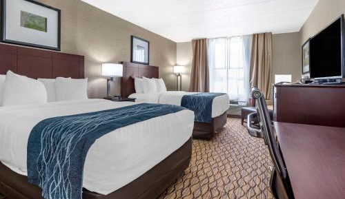 Double Room with Two Double Beds - Non-Smoking