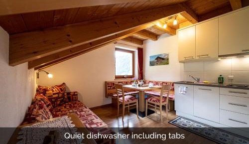 One-Bedroom Apartment with Balcony - Attic