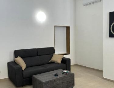 Deluxe One-Bedroom Apartment