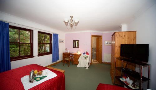 Double or Twin Room with Garden View