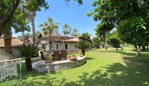 Standard Villa