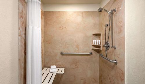King Room with Accessible Roll-In Shower