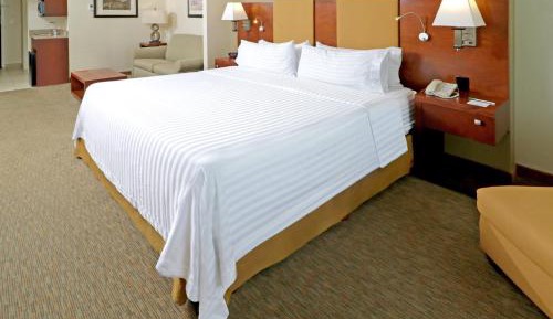 One-Bedroom King Suite with Sofa Bed