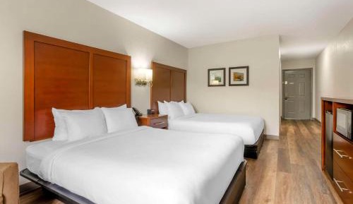 Queen Room with Two Queen Beds - Accessible/Non-Smoking 