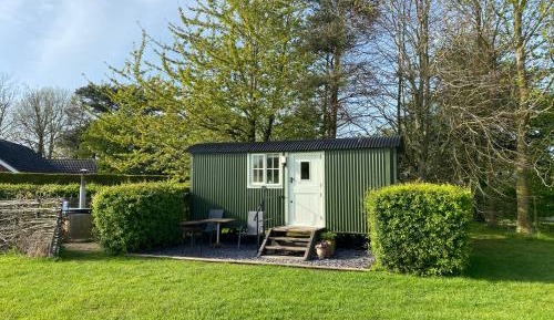 Hut