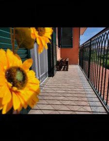 Deluxe Room (2 Adults + 1 Child)