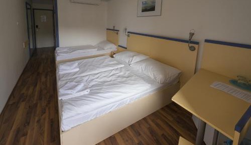 Basic Triple Room