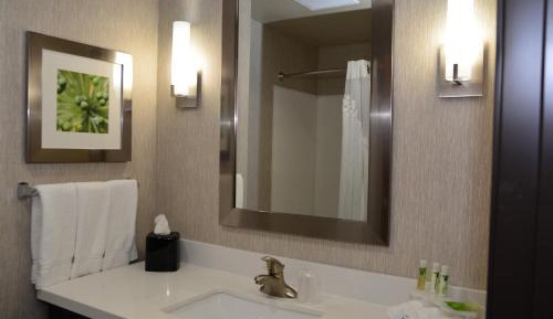 King Room with Hearing Accessible Roll In Shower - Non-Smoking