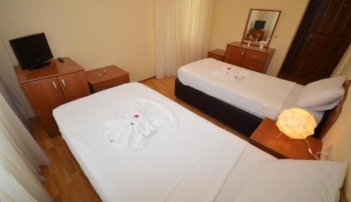 Twin Room with Mountain View