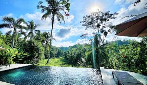 Deluxe Double or Twin Room with Pool View