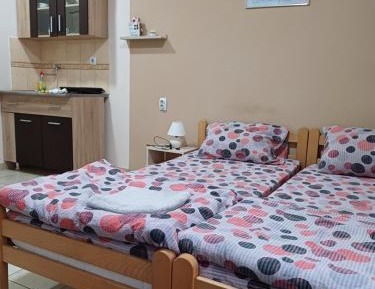 Double or Twin Room with Private Bathroom