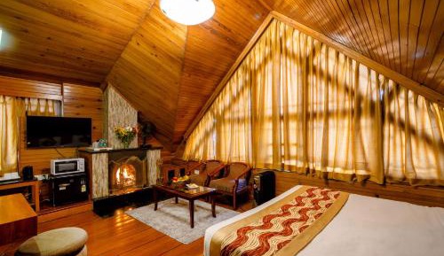 Premium Double or Twin Room