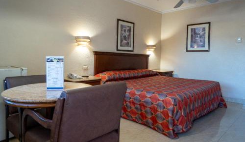 Economic Room with Extra Large Bed