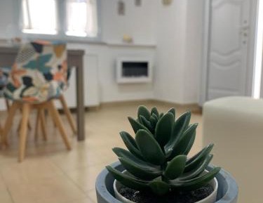 Standard Studio