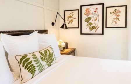Deluxe King Suite
