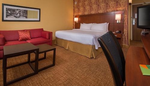 King Room with Sofa Bed