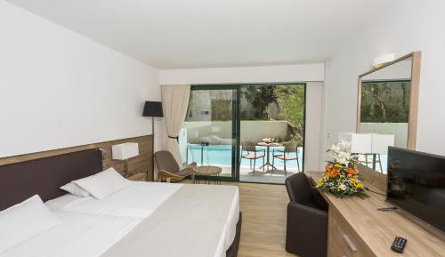 Double or Twin Room with Swimming Pool Access