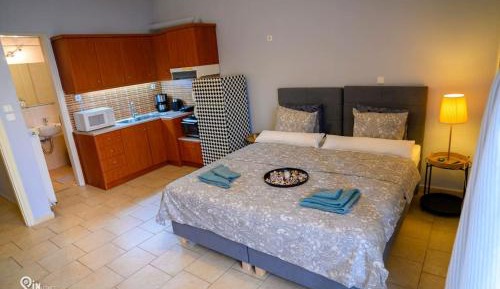 Deluxe Double or Twin Room with Garden View