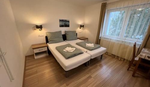 Large Double or Twin Room