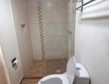 Basic Triple Room