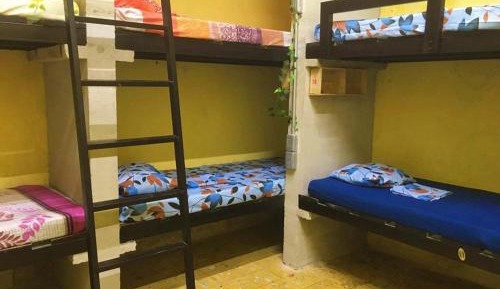 Bed in 6-Bed Mixed Dormitory Room