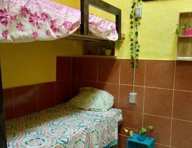 Bed in 4-Bed Female Dormitory Room