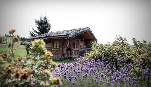 Chalet (2 Adults)
