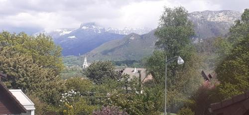 Studio with Garden View