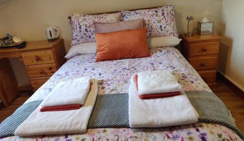 Double Room with Shared Bathroom