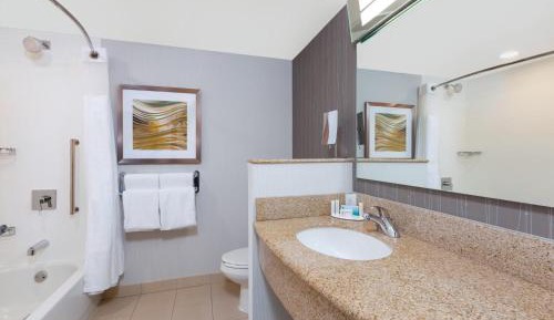 Executive King Suite with Sofa Bed