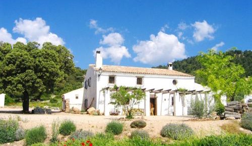 Six-Bedroom House