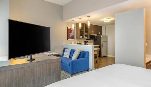 Studio, 1 King, Sofa bed, High floor