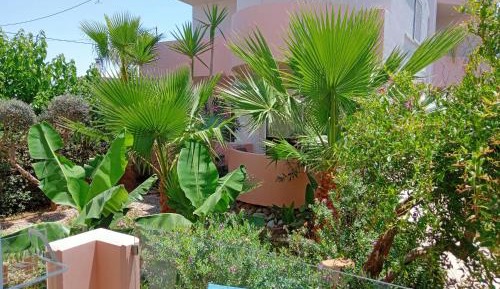 Studio Ground Floor - Garden View 