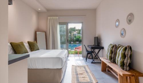 King Room with Roll-In Shower - Disability Access