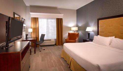 King Suite with Sofa Bed
