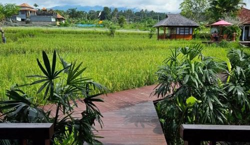 Cottage with Garden View