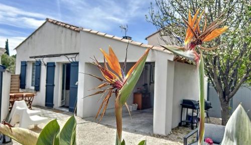 Holiday Home