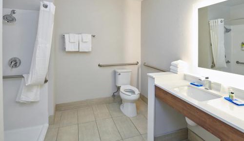 King Room with Roll-In Shower - Disability Access