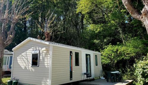 Mobile Home