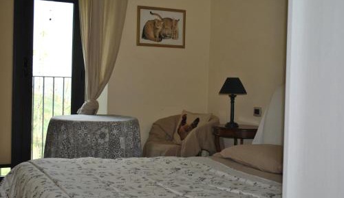 Economy Quadruple Room