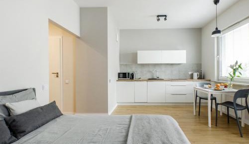 Studio Apartment