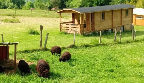 One-Bedroom Chalet