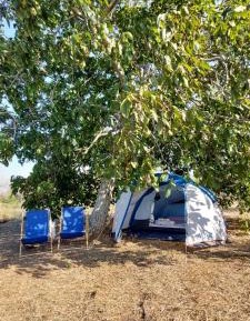 Tent