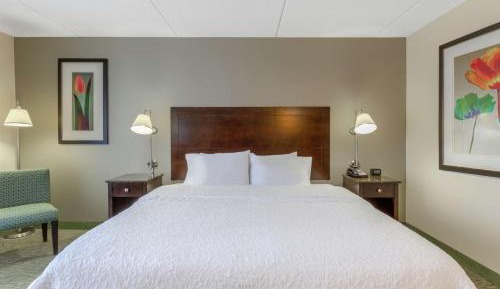 King Room with King Bed - Non-Smoking