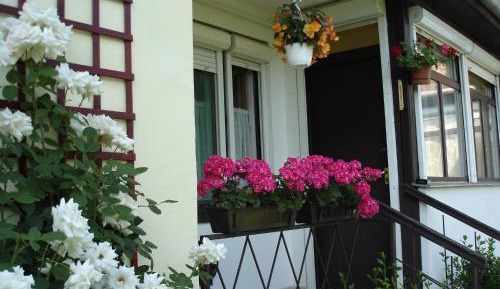 Apartment with Garden View