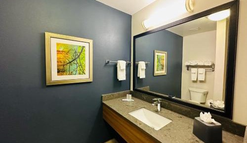King Room with Roll-in Shower - Mobility and Hearing Accessible