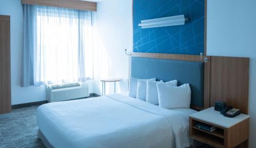 King Suite with Sofa Bed