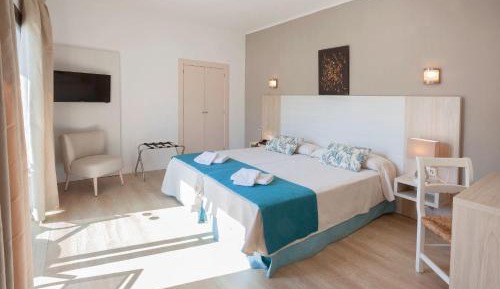 Double or Twin Room