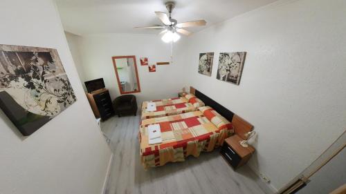 Single Room with Shared Bathroom